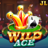 Wild Ace at Bunny Gaming